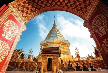 Chiang Mai - Surat Thani - Khao Sok (B/L/D) Tour di gruppo con guida inglese