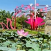 Festival del Loto di Dong Thap 2026: un'esperienze nel delta del mekong