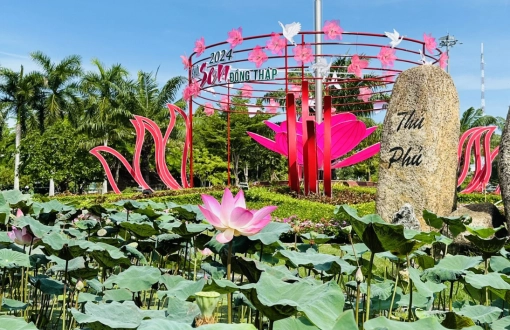 Festival del Loto di Dong Thap 2026: un'esperienze nel delta del mekong