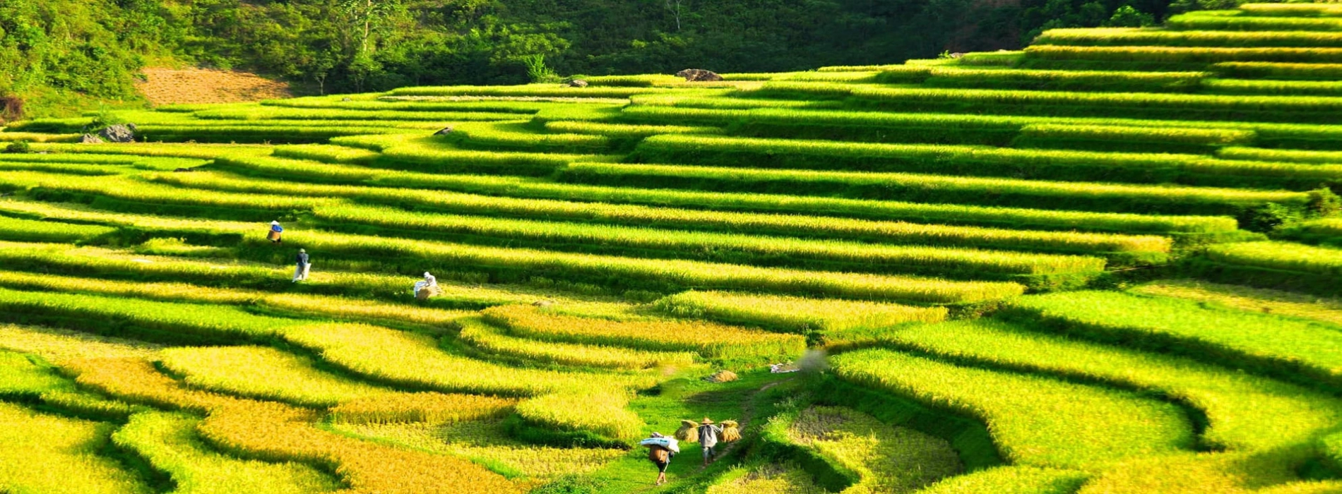 Vietnam autentico: itinerario tra villaggi e natura