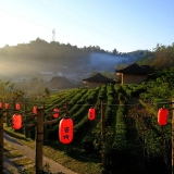 Tour Thailandia - Insieme alla tua famiglia in Thailandia 10 giorni