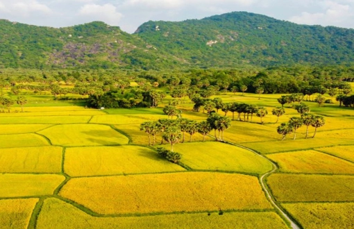 Guida di An Giang: le attrazioni da non perdere