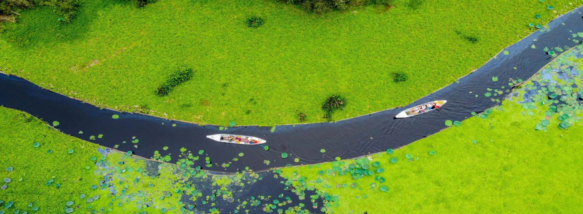 Guida di An Giang: le attrazioni da non perdere