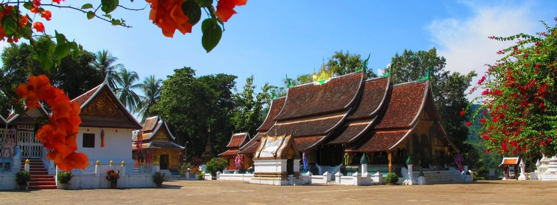 La cerimonia dell'elemosina dei monaci in Laos