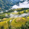 Risaie dorate del Vietnam: dove ammirarle a settembre