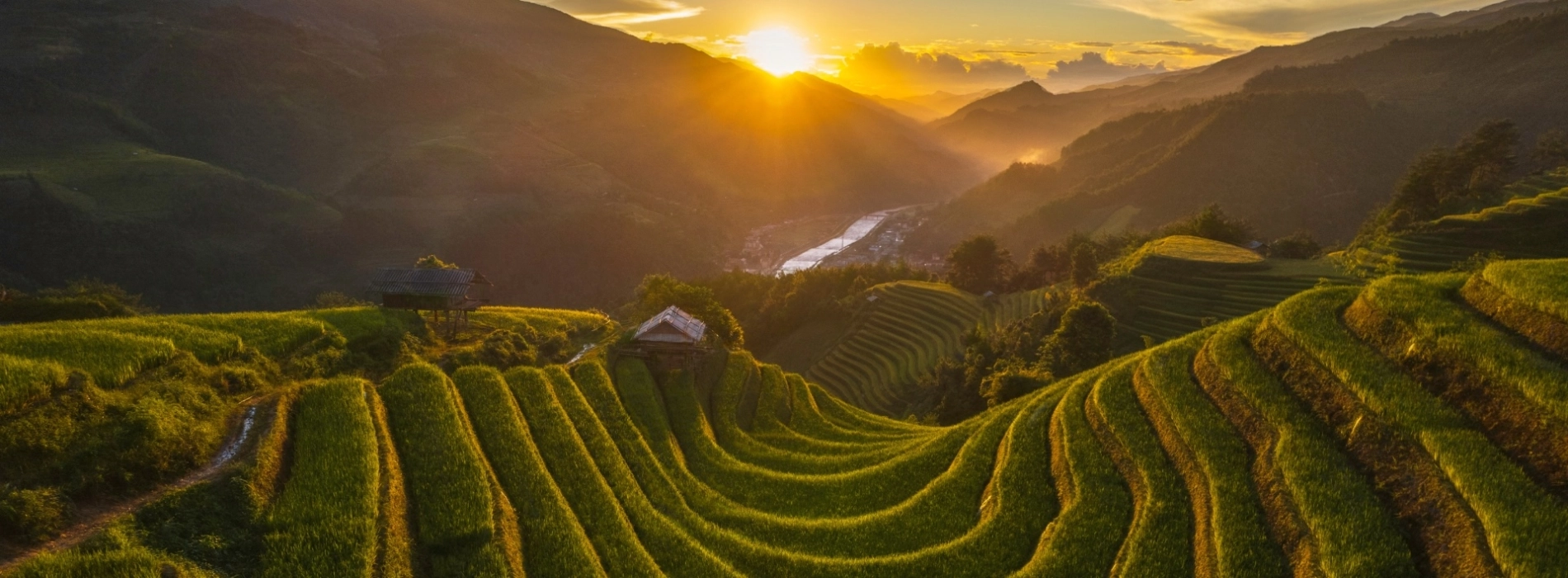 Risaie dorate del Vietnam: i luoghi più spettacolari a settembre