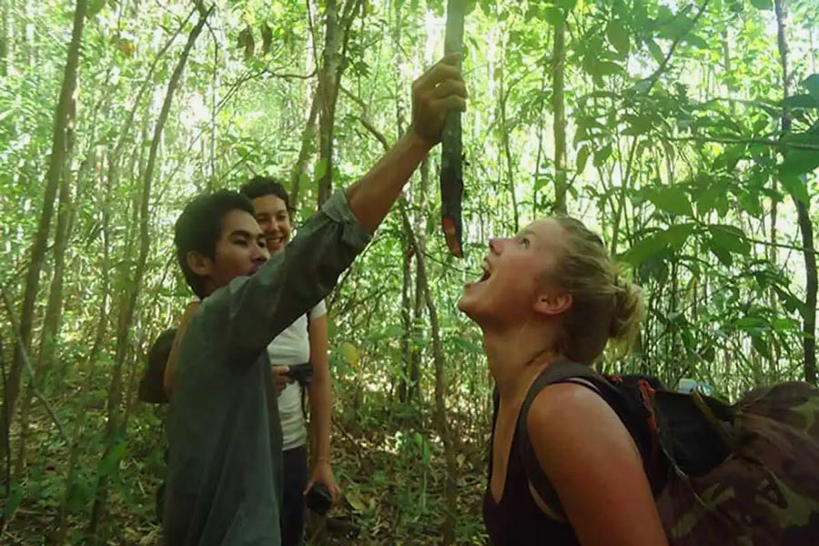 Parco Nazionale Virachey - Guida di Viaggio - Attrazione in Cambogia