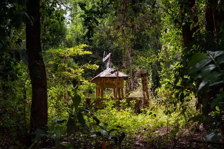 Parco Nazionale Virachey - Guida di Viaggio - Attrazione in Cambogia
