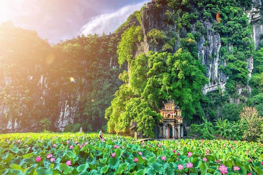 Stagno dei fiori di loto di Tam Coc – Bich Dong