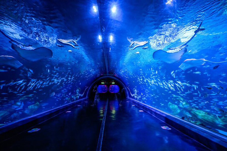 Panoramica dell'Acquario di Phuket