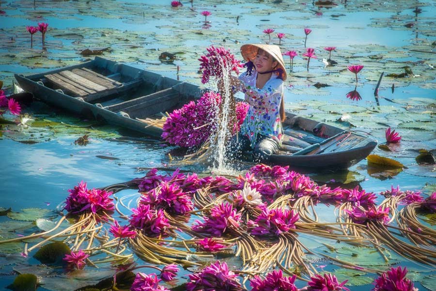 Assaporare deliziosi piatti a base di ninfee