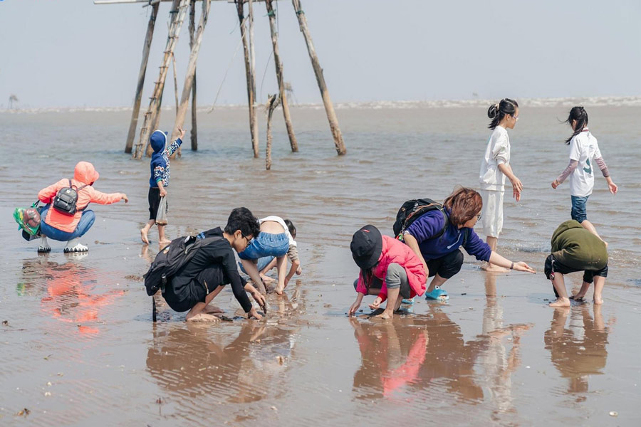 Partecipate alle vivaci attività sulla spiaggia
