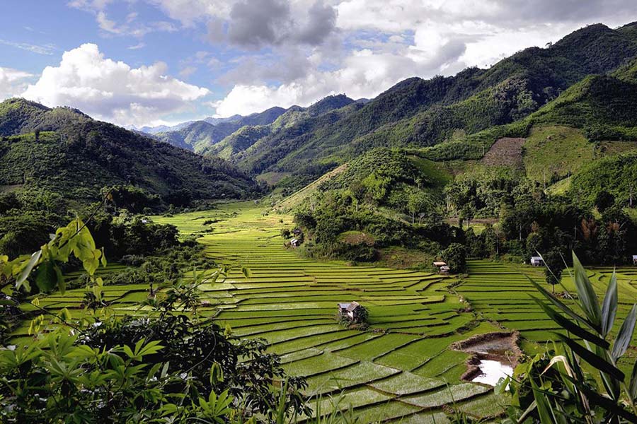 Phongsaly è nota per le sue colline verdeggianti, i campi terrazzati 