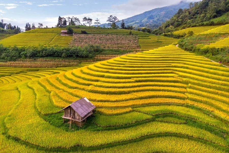 Perché scegliere il Ferragosto in Vietnam?