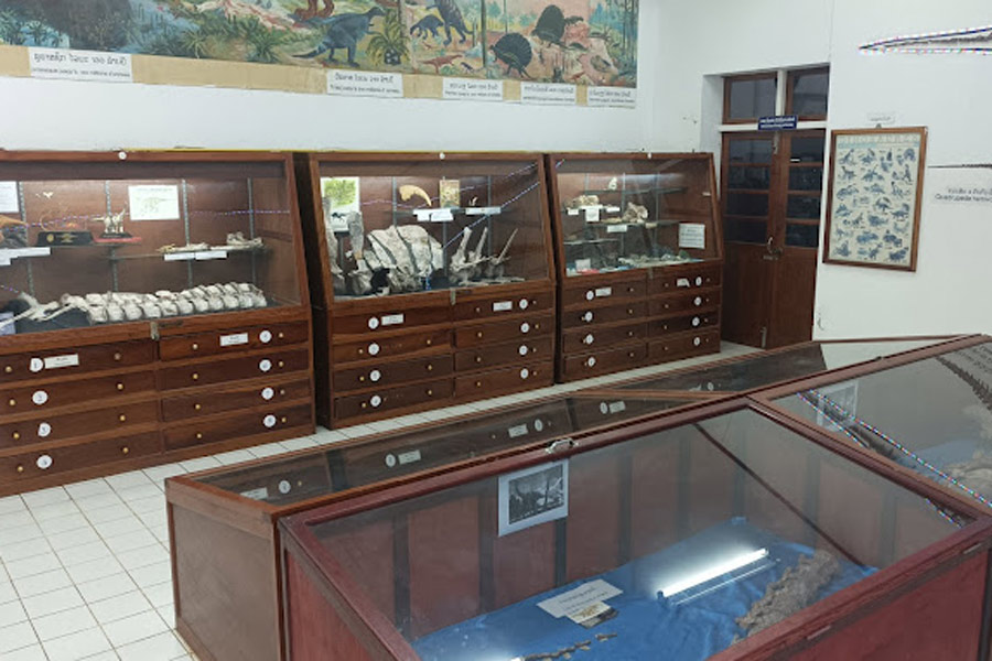 Museo dei Dinosauri di Savannakhet - Guida di viaggio - Attrazione in Laos