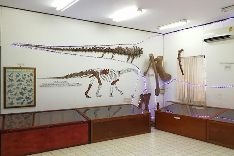 Museo dei Dinosauri di Savannakhet - Guida di viaggio - Attrazione in Laos
