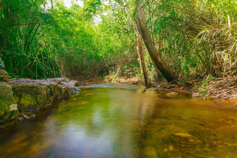 Suoi Truc è una destinazione ecoturistica ideale