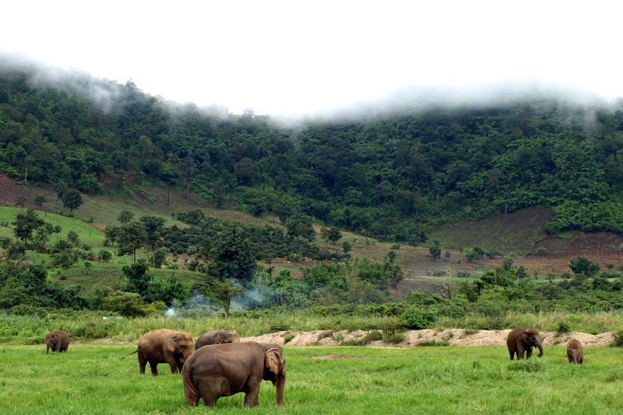 Mondulkiri - Guida di viaggio - Attrazione di Cambogia