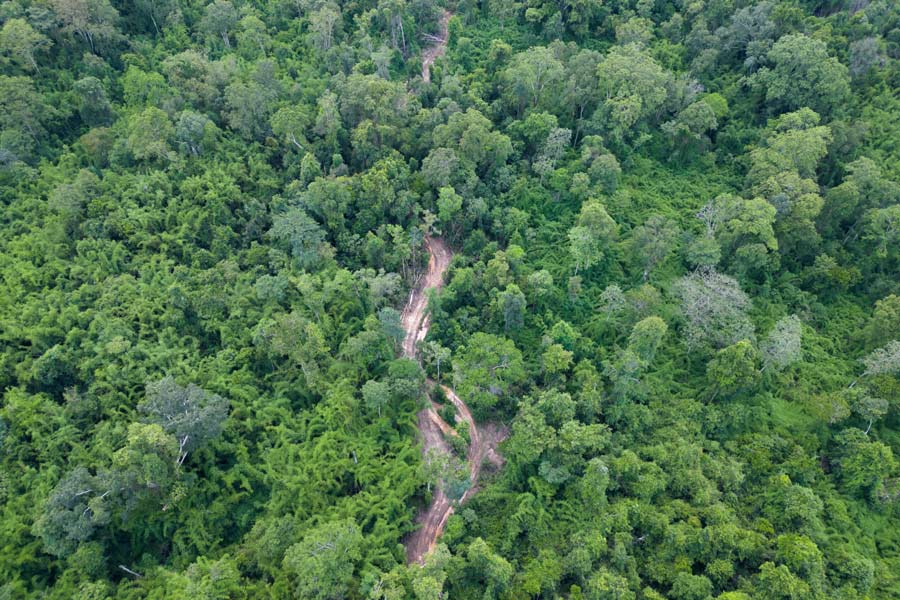 Mondulkiri - Guida di viaggio - Attrazione di Cambogia