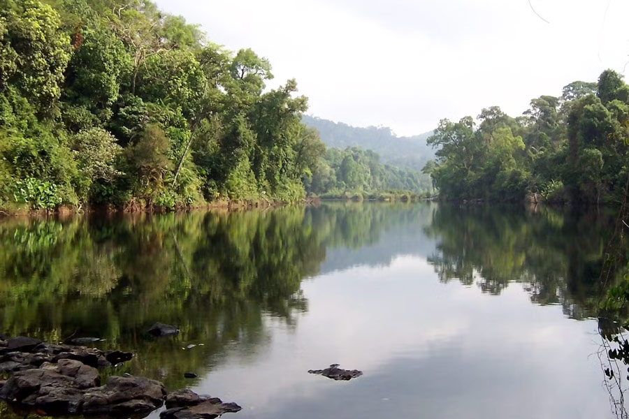 La Montagna di Cardamom - Consigli di viaggio - Cambogia