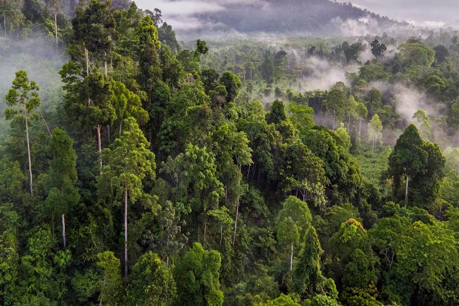 La Montagna di Cardamom - Consigli di viaggio - Cambogia