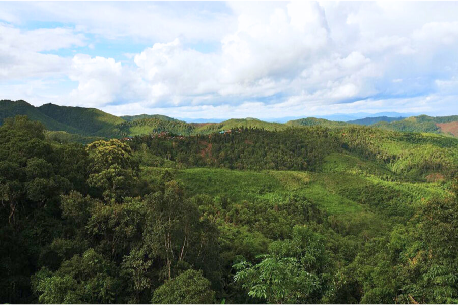 Area Nazionale Protetta di Nam Ha - Attrazione in Laos