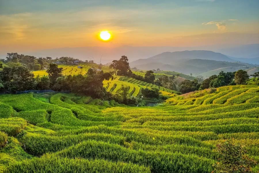 Ban Pong Piang
