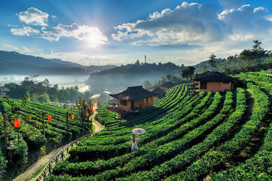 Il paessaggio di villaggio di Ban Rak Thai