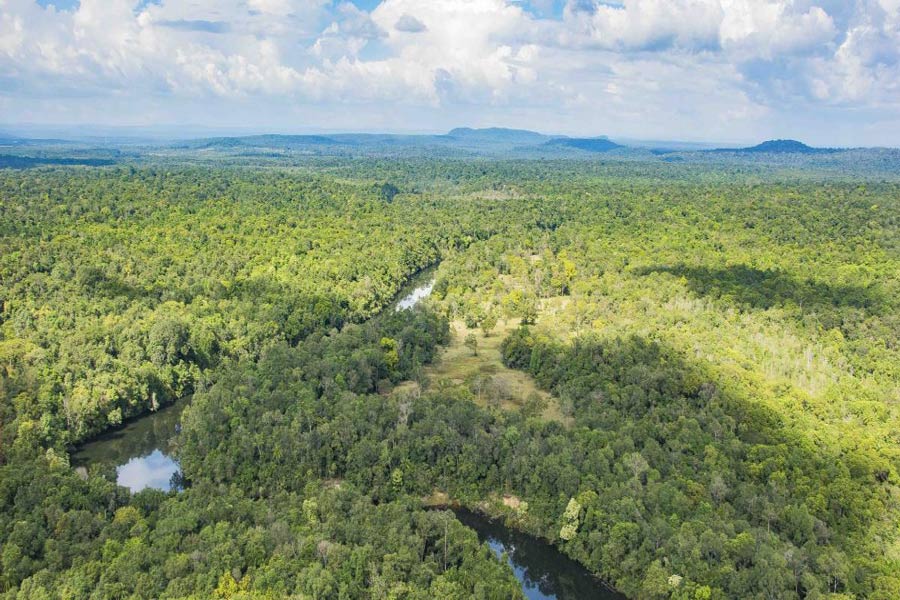 Il parco nazionale di Botum Sakor
