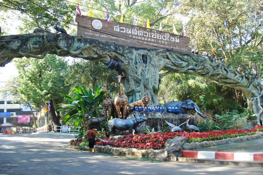 Zoo di Chiang Mai, Chiang Mai