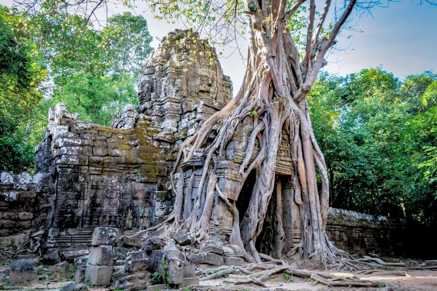 Cosa da fare in Cambogia in Ferragosto - Attrazione in Cambogia 