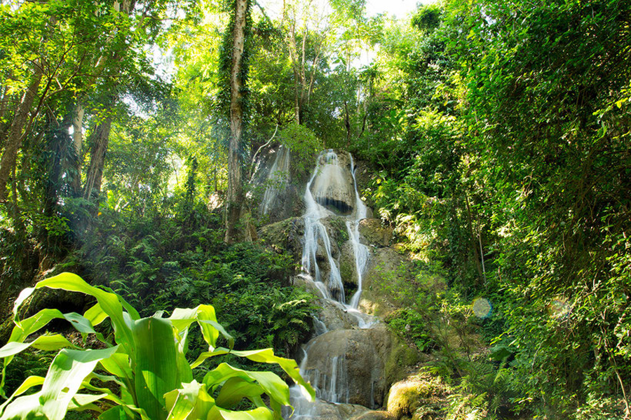 Esplora la splendida natura