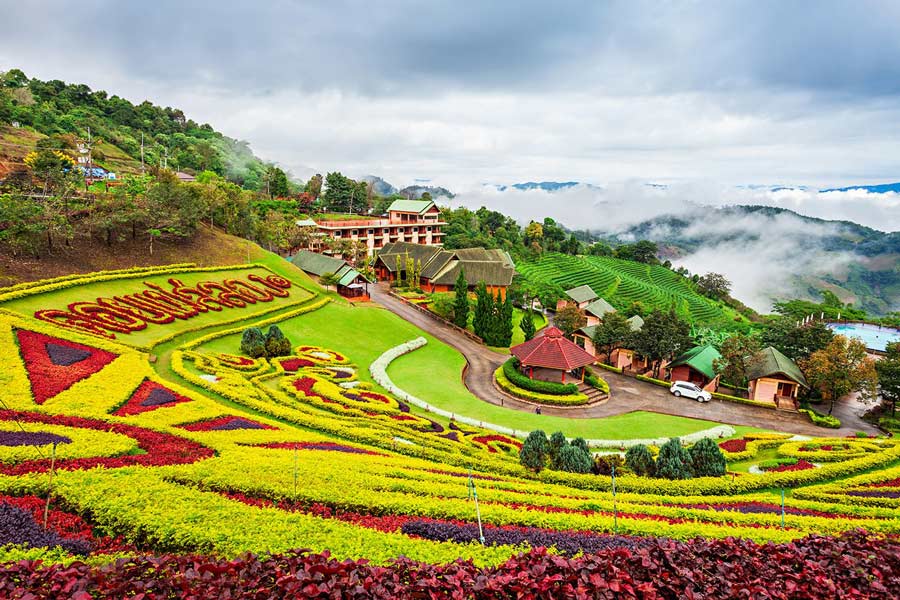 Doi Mae Salong