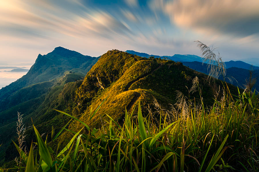 Il paesaggio di Doi Pha Tang