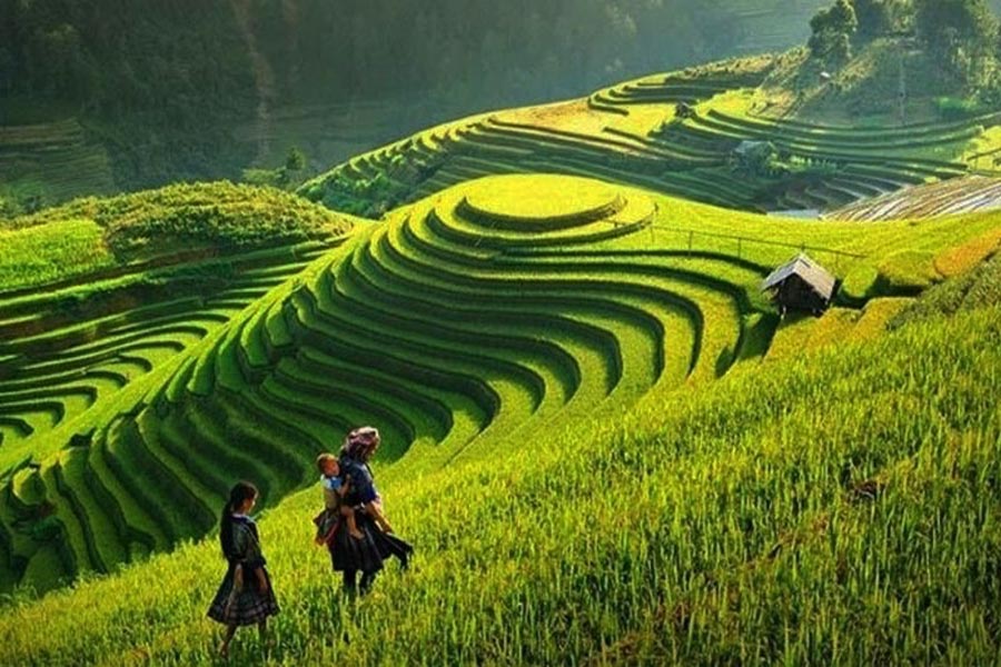 Dovresti andare Ha Giang o SaPa