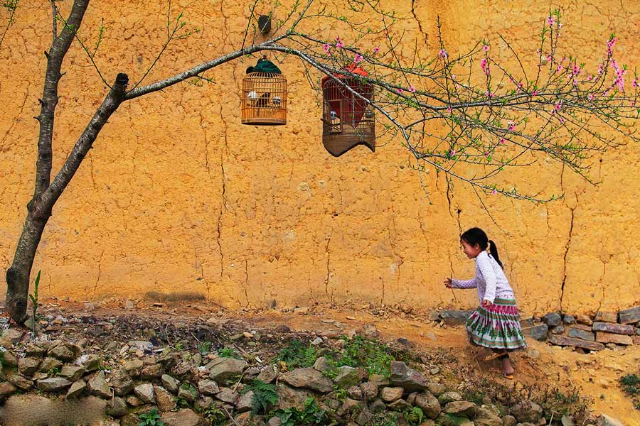 Dovresti andare a Ha Giang o SaPa
