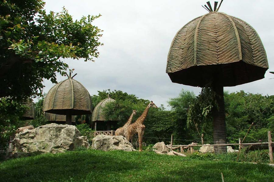 Zoo Dusit, Bangkok