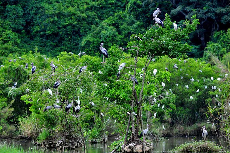 Esperienza in bicicletta a Ninh Binh