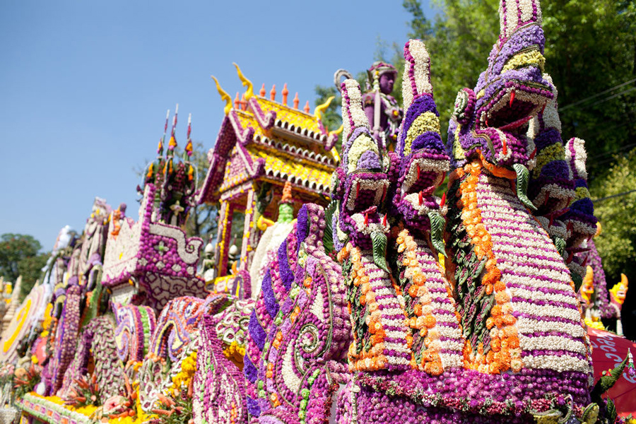 Il festival mostra molti bellissimi fiori