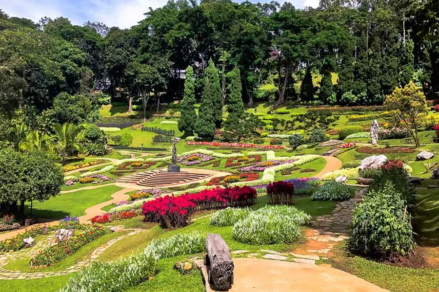 Giardino colorato con molti tipi diversi di fiori