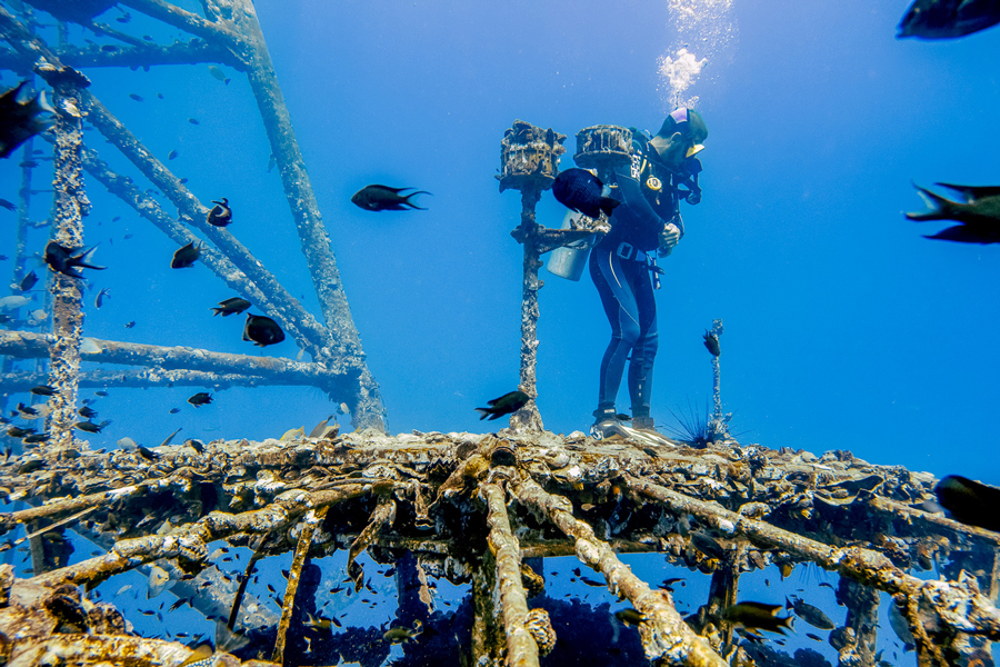 HTMS Chang Wreck è un famoso punto di immersione