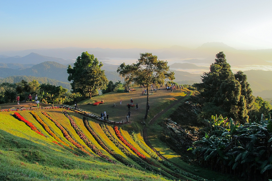 Campi di fiori colorati nel Parco Nazionale Huai Nam Dang