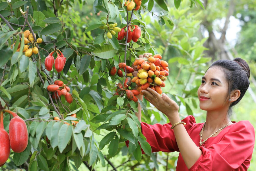 I 11 migliori frutti tropicali della Cambogia - Consigli di viaggio