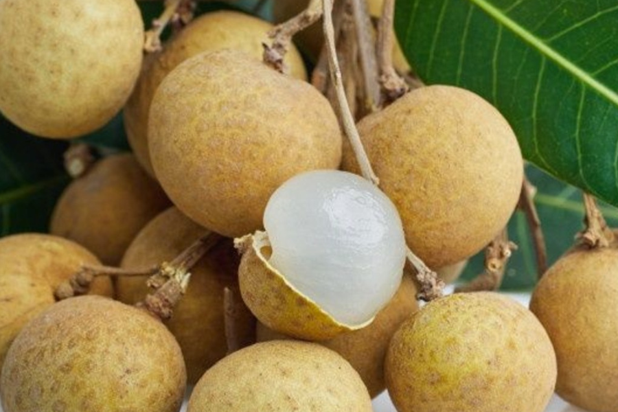 I 11 migliori frutti tropicali della Cambogia - Consigli di viaggio