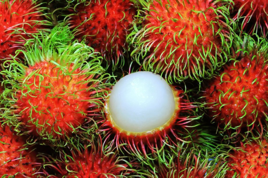 I 11 migliori frutti tropicali della Cambogia - Consigli di viaggio