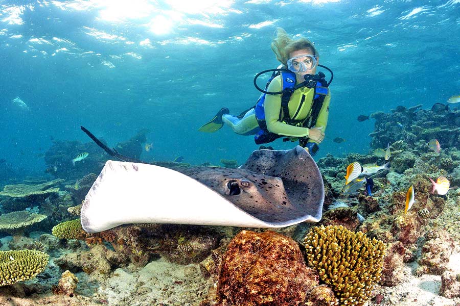 Isole di Similan - Qual è il posto migliore in Thailandia per fare immersioni?