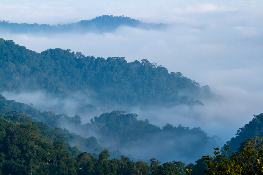 Complesso forestale di Kaeng Krachan 