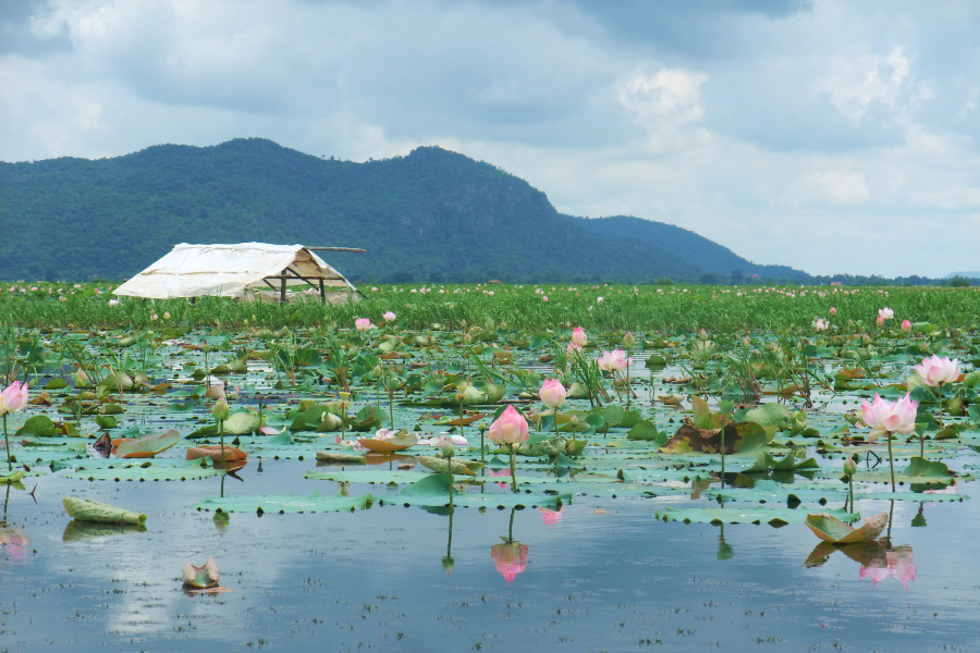 Kamping Puoy - Guida di viaggio - Attrazione in Cambogia
