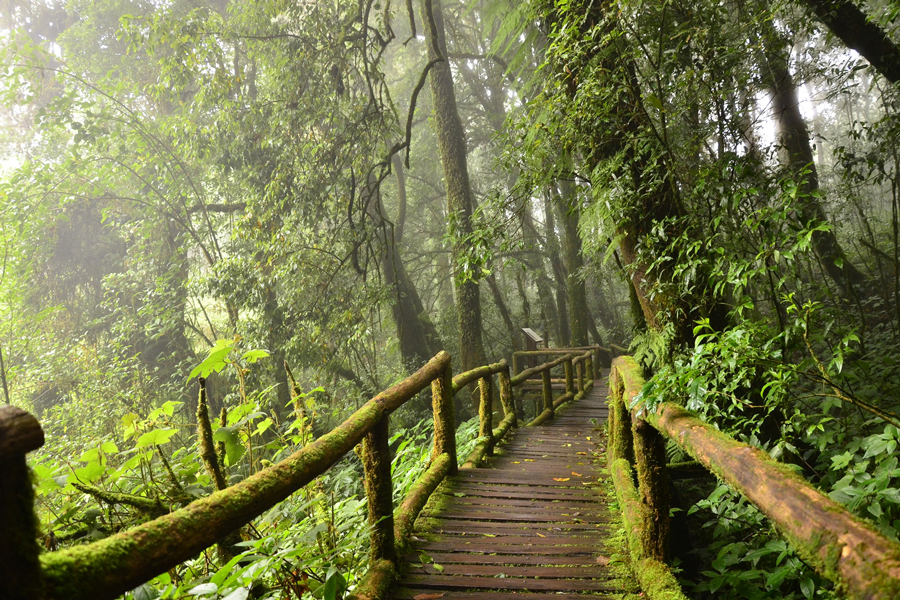 Sentiero naturalistico Kew Mae Pan