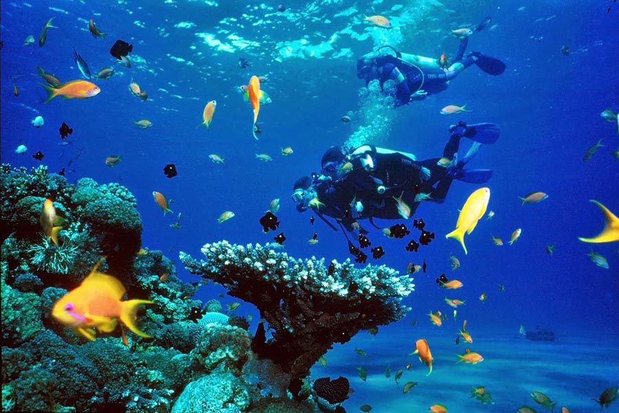 Koh Phangan - Qual è il posto migliore in Thailandia per fare immersioni?